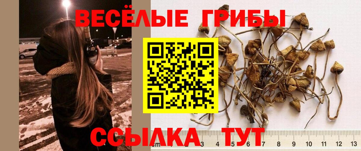 Псилоцибиновые грибы Magic Shrooms Бирск