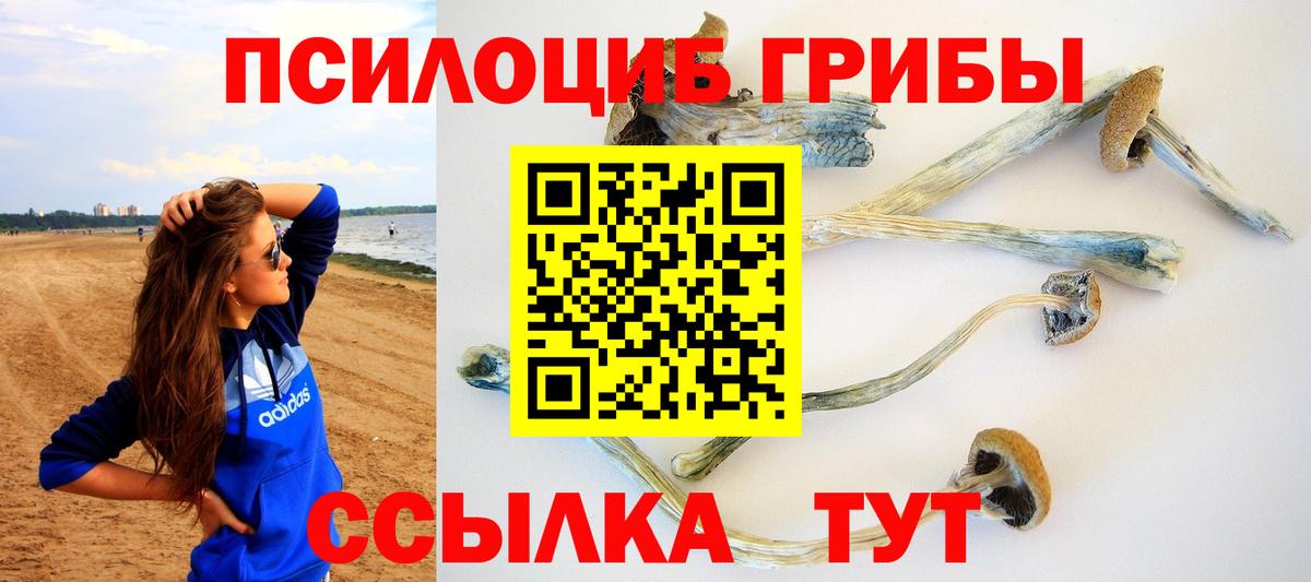 Бирск  Псилоцибиновые грибы Magic Shrooms  Вход с VPN 